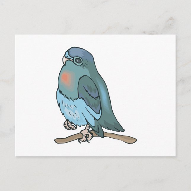 Carte Postale perruche oiseau vert et bleu (Devant)