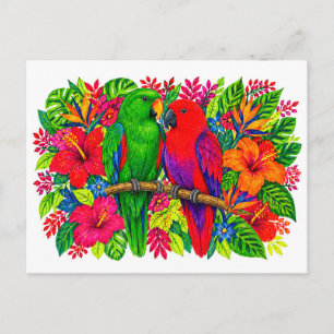 Carte Postale Perruches Eclectus Strelitzia Tropicale Hibiscus M