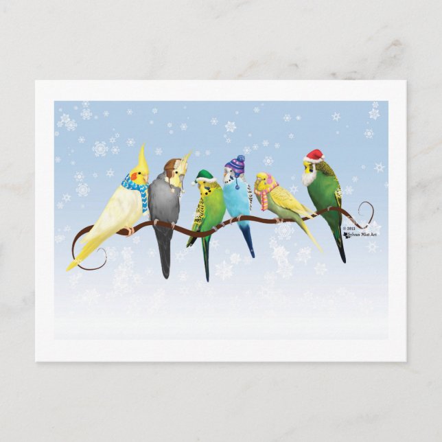 Carte Postale Perruques d'hiver et Cockatiels (Devant)