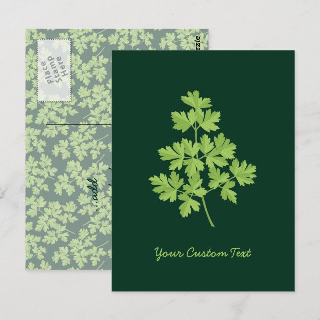 Carte Postale Persil (Devant / Derrière)