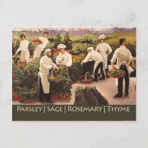 Carte Postale Persil, Sage, romarin et thym