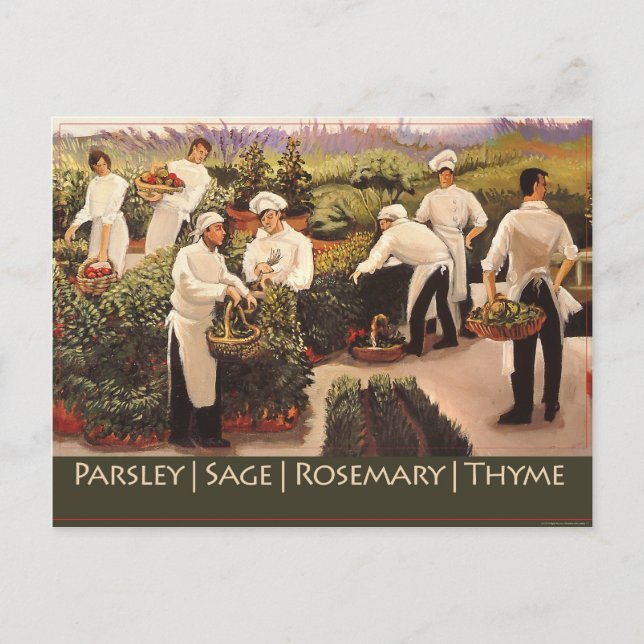 Carte Postale Persil, Sage, romarin et thym (Devant)