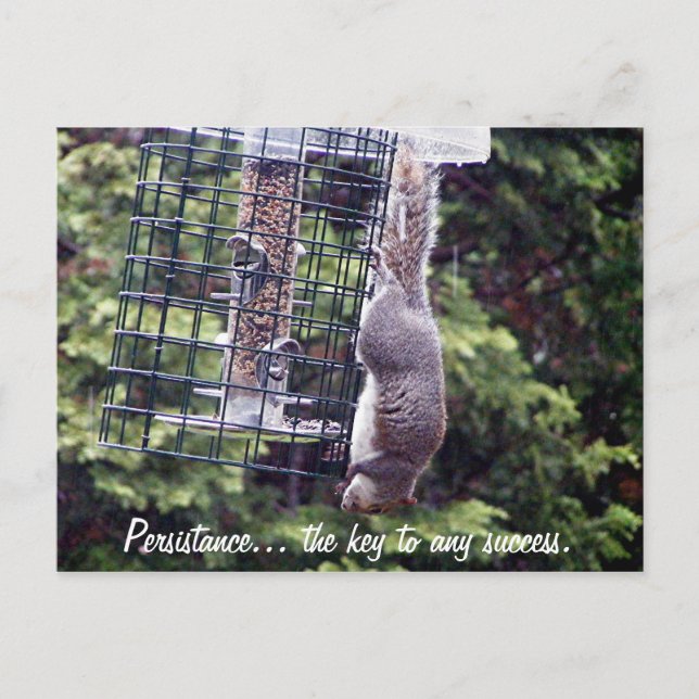 Carte Postale Persistance (Devant)