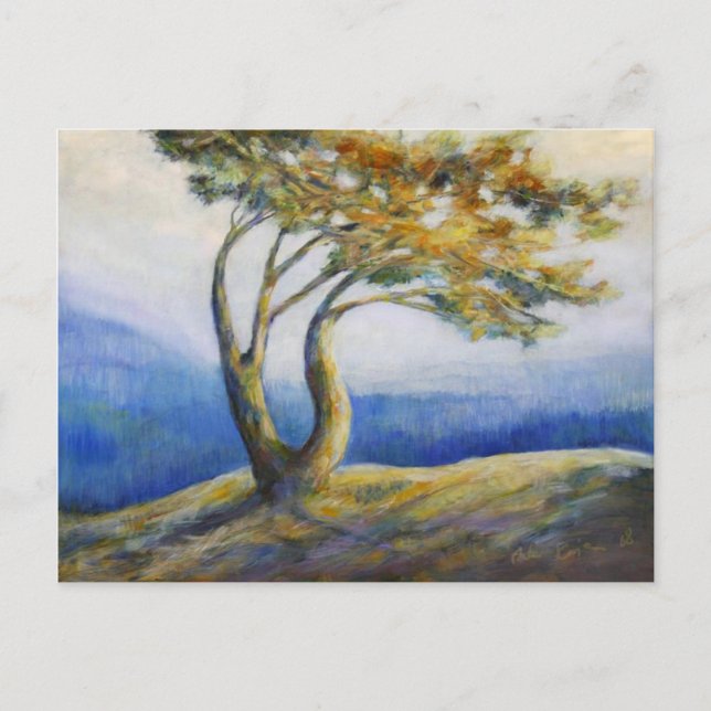 Carte postale persistante (Devant)