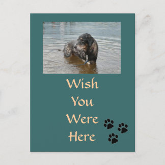 Carte postale personnalisable