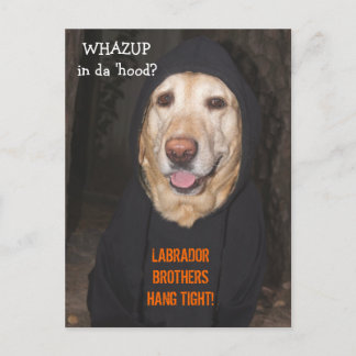 Carte Postale Personnalisable 90 lb. Atelier en Sweat - shirt à