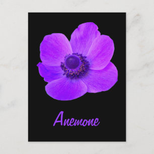 Carte Postale Personnalisable à fleur d'anémone vi
