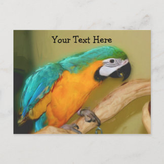 Carte postale personnalisable Blue Gold Macaw Parr