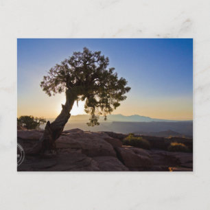 Carte Postale Personnalisable : Canyonlands & Dead Horse Point C