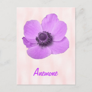 Carte postale personnalisable d'anémone rose girly