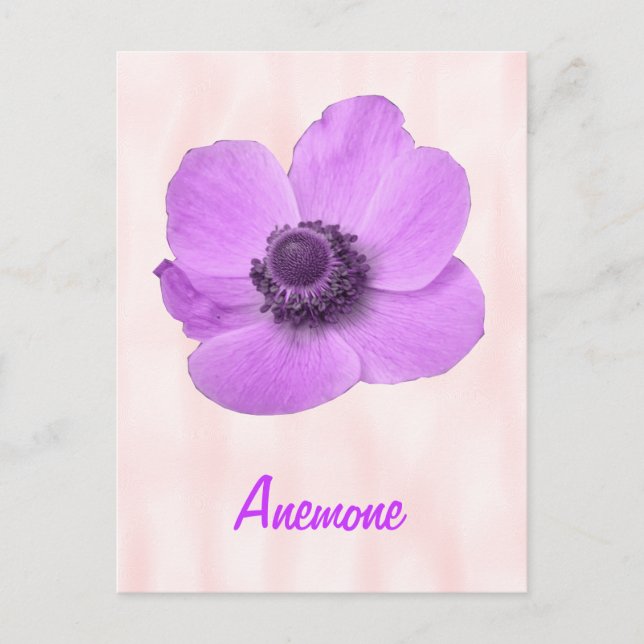 Carte postale personnalisable d'anémone rose girly (Devant)