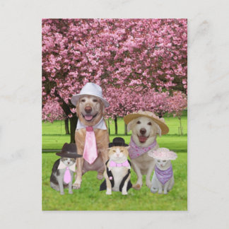 Carte Postale Personnalisable Funny Pet Pink Thème