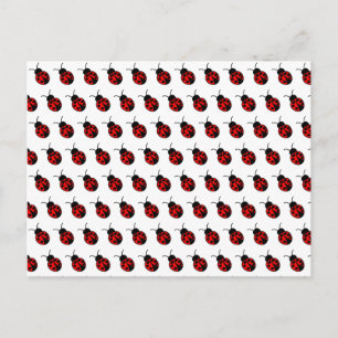 Carte postale personnalisable Ladybugs