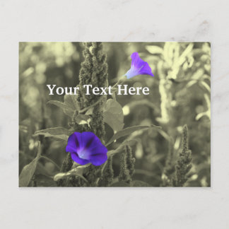 Carte postale personnalisable Morning Glories