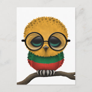 Carte Postale Personnalisable Nerdy Lituanien Baby Owl Chic