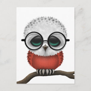 Carte Postale Personnalisable Nerdy Polonais Baby Owl Chic