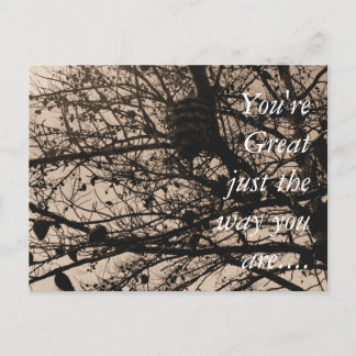 Carte postale personnalisable Photographie de natu