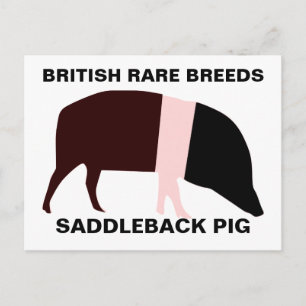 Carte postale personnalisable pour le porc de sadd