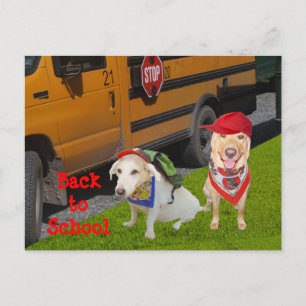 Carte Postale Personnalisable Retour à l'école
