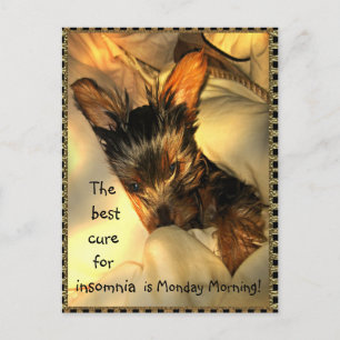 Carte postale personnalisable Sleepy Yorkie