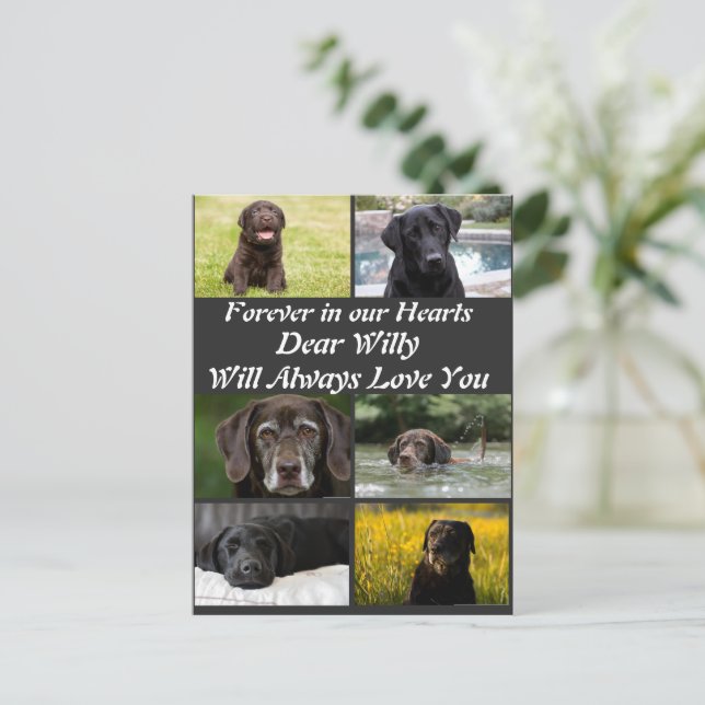 Carte Postale Personnalisation moderne Pet Memorial 6 Photo Coll (Debout devant)
