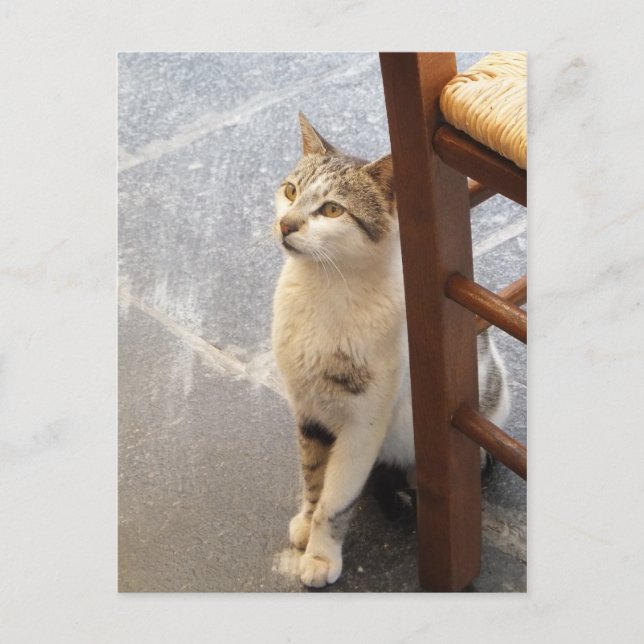 Carte postale personnalisée (Devant)
