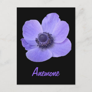 Carte postale personnalisée à fleur d'anémone bleu