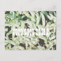 Carte postale personnalisée avec des plantes vert 