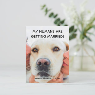 Carte postale personnalisée avec photo de chien po