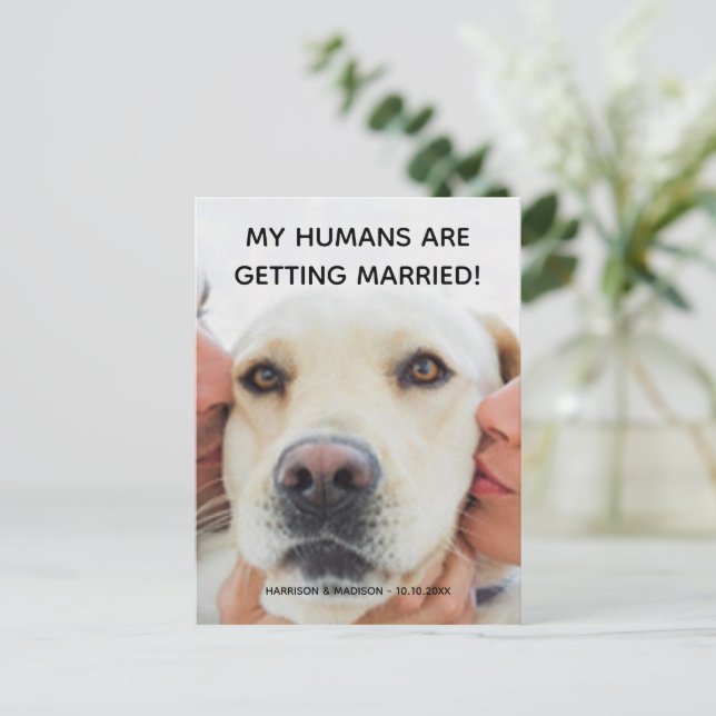 Carte postale personnalisée avec photo de chien po (Debout devant)