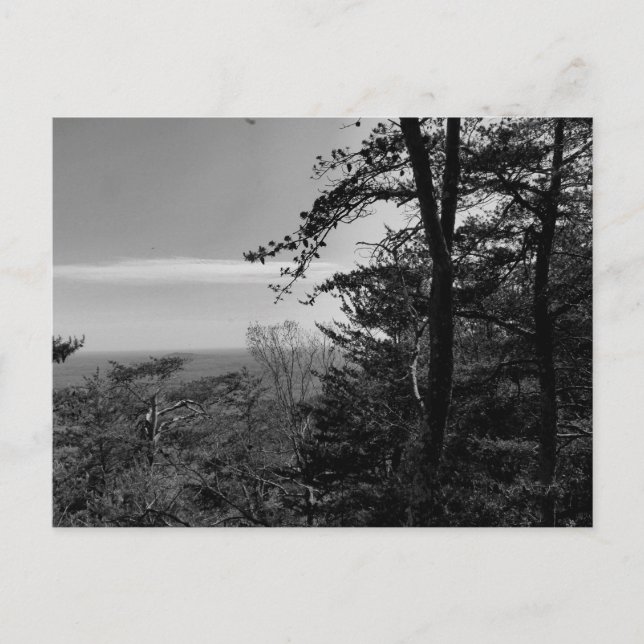 Carte postale personnalisée avec photographie en n (Devant)