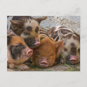 Carte postale personnalisée avec votre propre phot