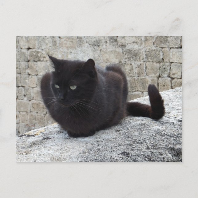 Carte postale personnalisée Black Cat (Devant)