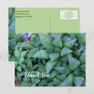 Carte postale personnalisée de remerciement avec p