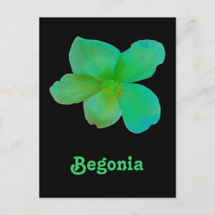 Carte postale personnalisée Green Begonia