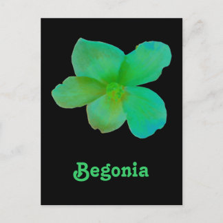 Carte postale personnalisée Green Begonia