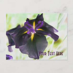 Carte postale personnalisée Iris Floral