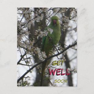 Carte postale personnalisée Perruche à collier Bon