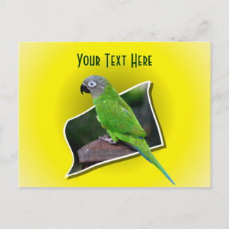 Carte postale personnalisée pour animal perroquet 