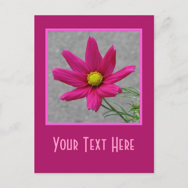 Carte postale personnalisée rose Fleur (Devant)