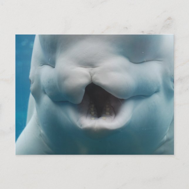 Carte Postale Personnaliser (Devant)