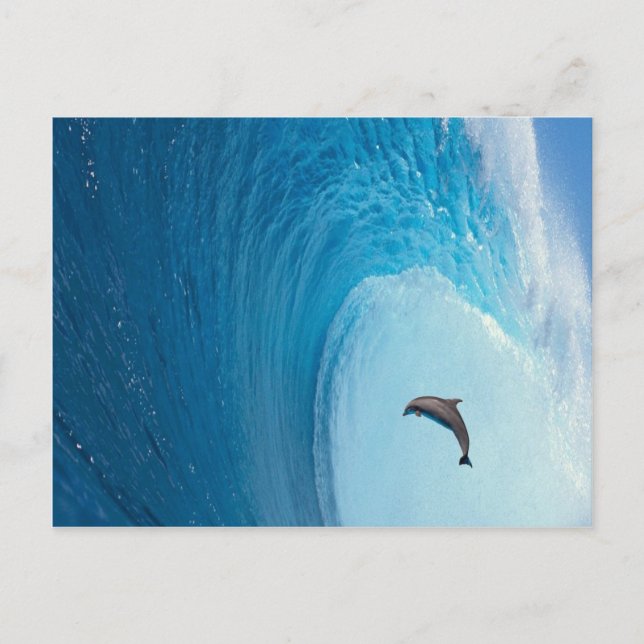 Carte Postale Personnaliser (Devant)
