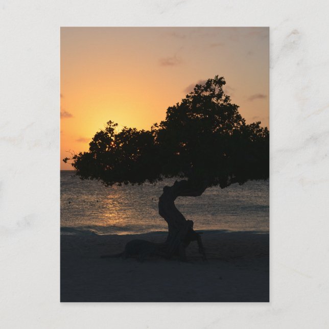 Carte Postale Personnaliser (Devant)