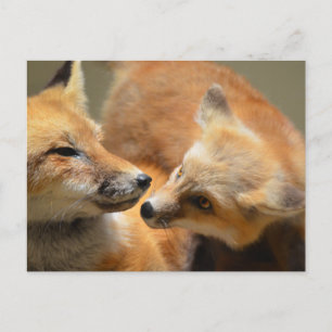 Carte Postale Personnaliser