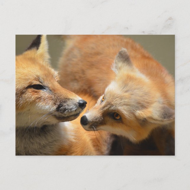 Carte Postale Personnaliser (Devant)