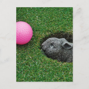 Carte Postale Personnaliser