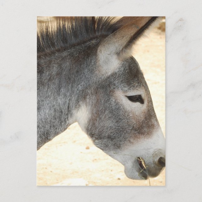 Carte Postale Personnaliser (Devant)