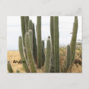 Carte Postale Personnaliser