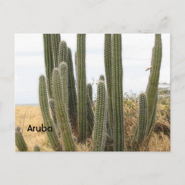 Carte Postale Personnaliser (Devant)