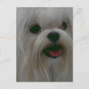 Carte Postale Personnaliser